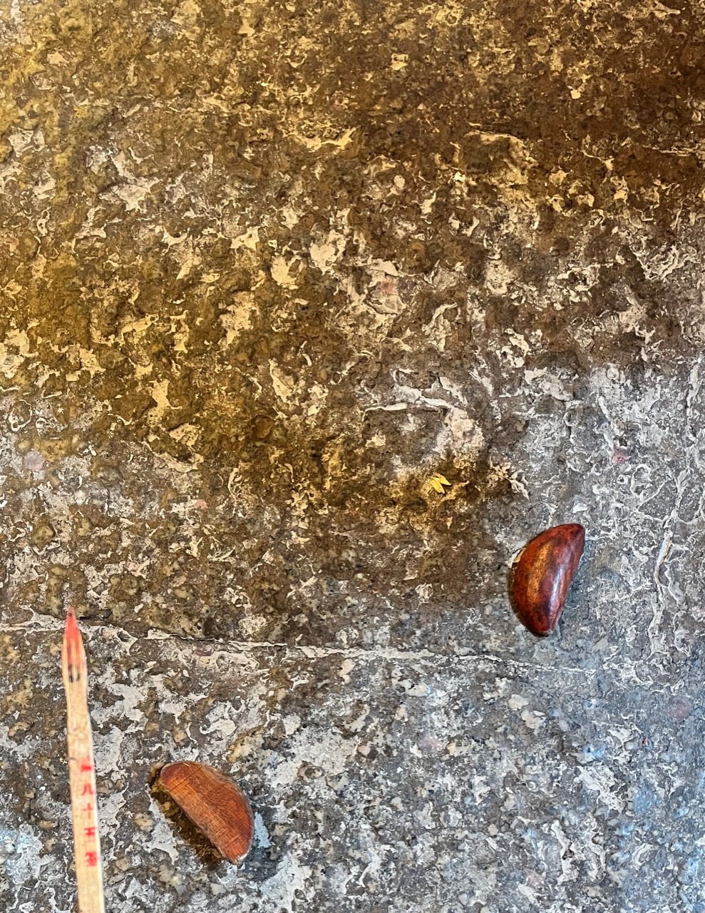 文武廟神前一對呈一正一反嘅聖杯近照